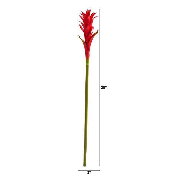 28 Mini Star Bromeliad - SKU #2362 - 4